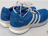 blue adidas running shoes with white laces on a white surface