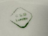 a white plate with a green and white design on it