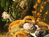 a painting of a bird nest with a baby bird in it