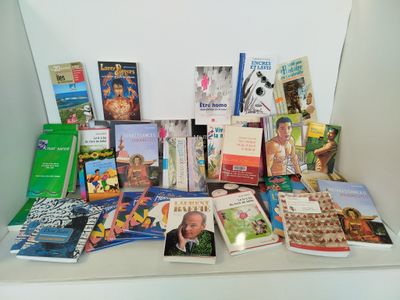 Lot de livres multi-thématiques - ÉDITIONS DIVERSES - Littér…