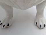 a white dog with black spots on it ' s paws