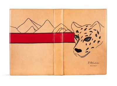 un livre ouvert sur lequel est dessiné un guépard
