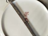 a spoon on a plate with a spoon rest on it