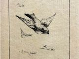 un dessin représentant un oiseau en plein vol