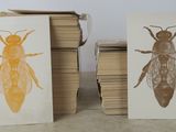 deux cartes sur lesquelles figurent une image d'abeille et une abeille
