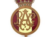 an image of a badge with a crown on top of it