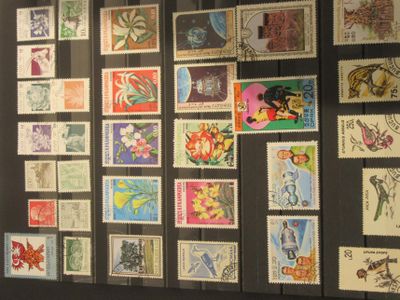 une exposition de timbres accrochés au mur d'une pièce