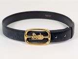a close up of a black belt with a gold buckle