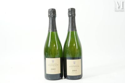 deux bouteilles de vin posées l'une à côté de l'autre sur une surface blanche