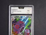 an image of a pokemon trading card in a plastic holder