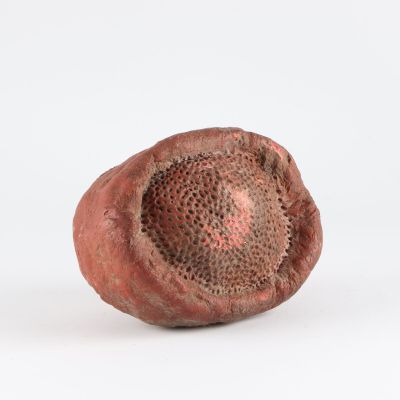un gros plan d'un fruit pourri sur une surface blanche