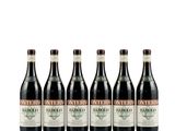 six bouteilles de vin rouge alignées sur une surface blanche
