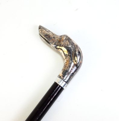 a close up of a walking stick on a white surface