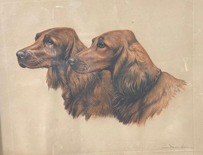 deux chiens qui se tiennent l'un à côté de l'autre