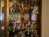 une vitrine contenant de nombreux animaux empaillés