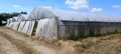de nombreuses serres situées dans un champ par une journée ensoleillée