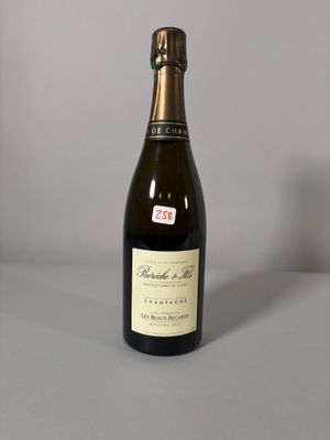 1 btlle Champagne, Bérêche, Les Beaux Regards 2020.