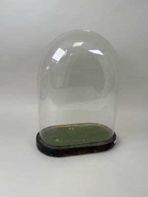 un dôme en verre reposant sur un socle en bois, sur fond blanc