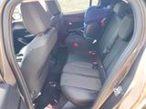 the back seats of a car with a seat belt in the back
