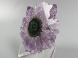 lavender quartz flower on clear acrylic stand on white background
