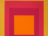 person homage to the square paintings for sale
