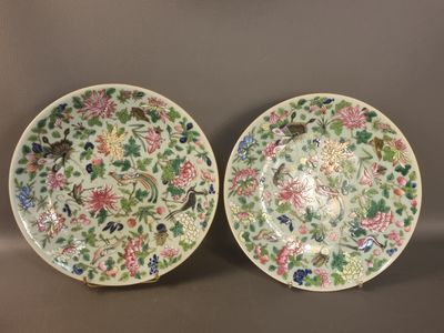 pair of chinese famille plates with birds and flowers