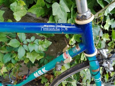 un vélo bleu garé devant un buisson