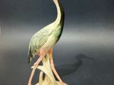 un oiseau perché sur une souche d'arbre