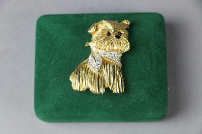 an image of a dog broochle on a green velvet box