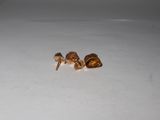 two snails that are sitting on a white surface