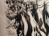 a black and white picture of a giraffe with trees in the background