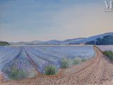 painting of a lavender field with a dirt road in the foreground