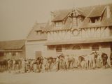 a group of people standing outside of a building with horses
