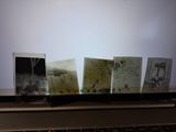 a laptop with a bunch of old photos on top of it