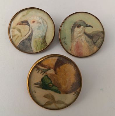 trois oiseaux sont représentés en groupe sur une surface blanche