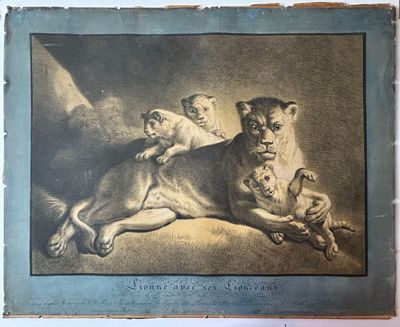 une vieille photo d'un chien allongé par terre avec un chat sur le dos