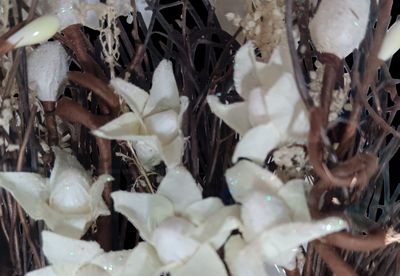 many white flowers in a vase on the table