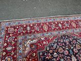 a cat that is sitting on a rug on the floor