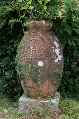 un grand vase d'où sort une plante, posé dans l'herbe