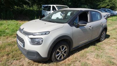 La voiture est garée dans l'herbe, près des arbres.