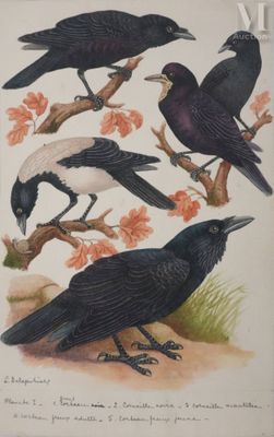 quatre oiseaux noirs perchés sur une branche d'arbre