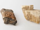 two pieces of rock on a white surface