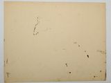 an old photo of a piece of paper on a white surface