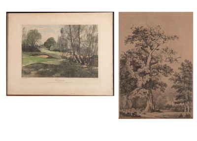 deux dessins représentant des arbres et un terrain de golf au loin