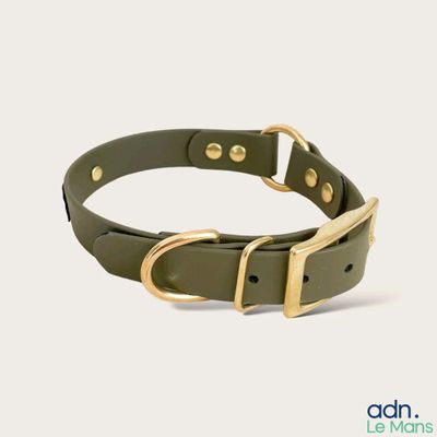 leather dog collar in olive green with gold hardware