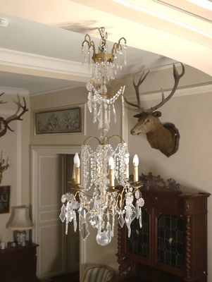 a chandelier in the middle of a room with deer heads on the wall