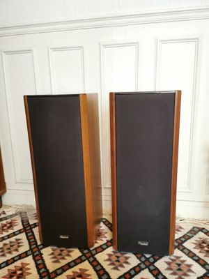 deux enceintes posées sur un tapis dans une pièce