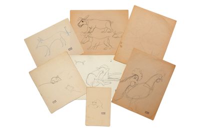 beaucoup de vieux papiers sur lesquels figurent des dessins