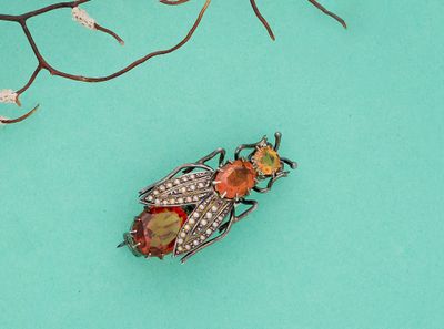 un insecte posé par terre près d'une branche d'arbre