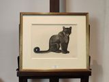 une photo d'un chat assis sur une table